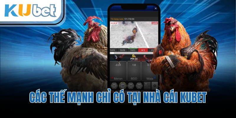 Các thế mạnh chỉ có tại nhà cái KUBET