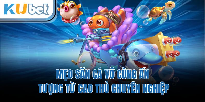 Mẹo săn cá vô cùng ấn tượng từ cao thủ chuyên nghiệp