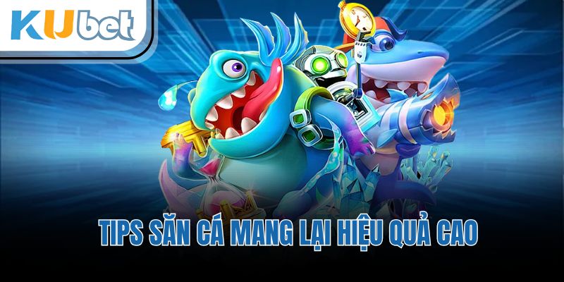 Tips săn cá mang lại hiệu quả cao